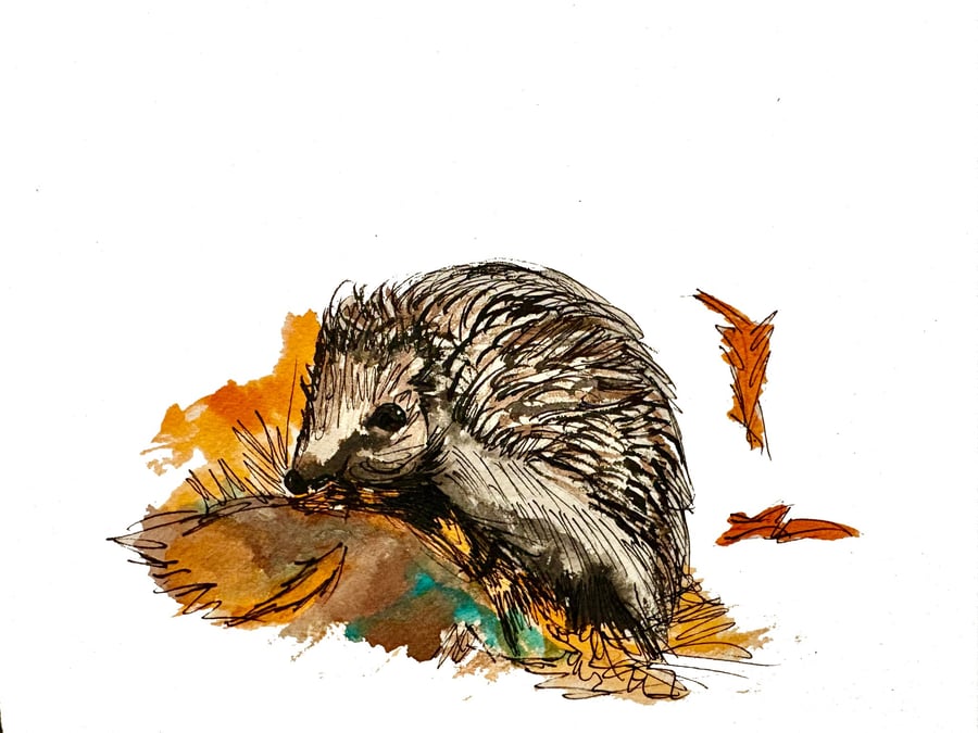Autumn Hedgehog Original Watercolour 