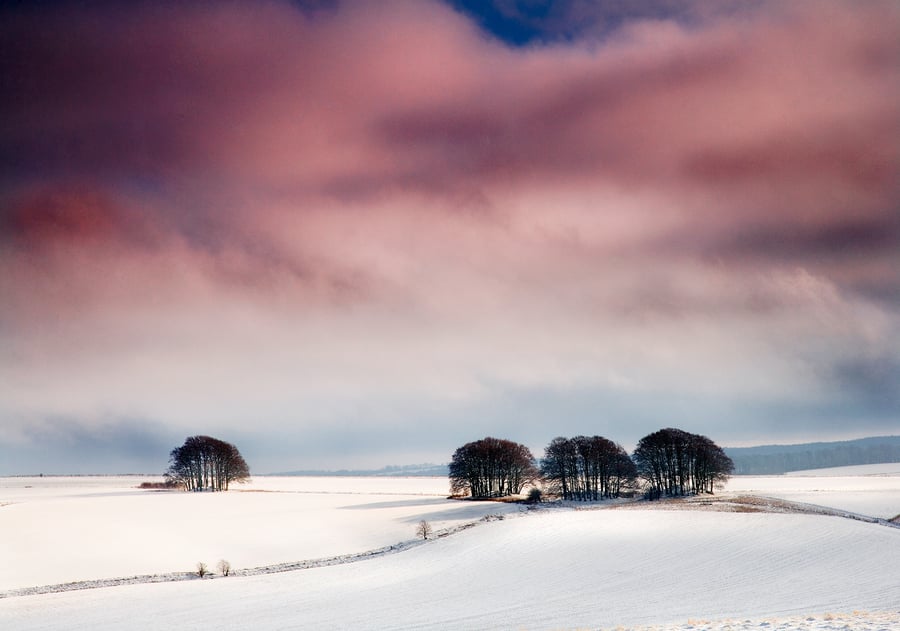 Winter's Tale winter wintry snowy landscape bare beech trees Wiltshire snow hill