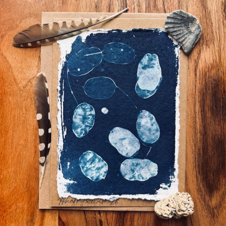 Cyanotype Honesty Seed-Heads 5 - Mounted Design - Card with envelope