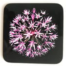 Allium Flower in bloom Square Coaster pink and black high glass finish