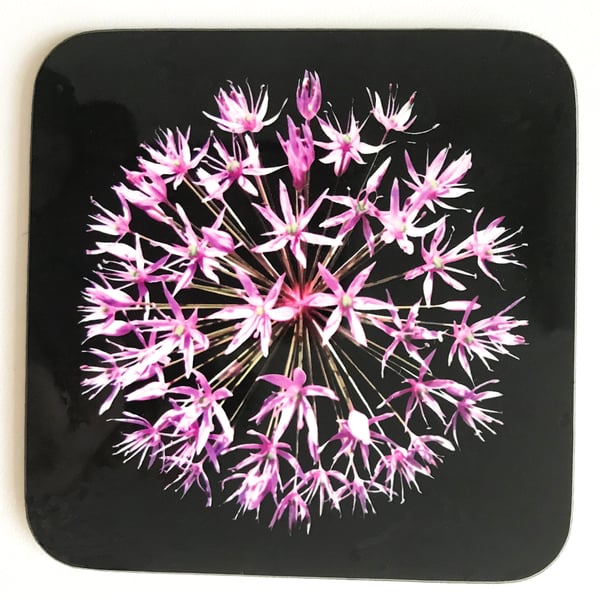 Allium Flower in bloom Square Coaster pink and black high glass finish