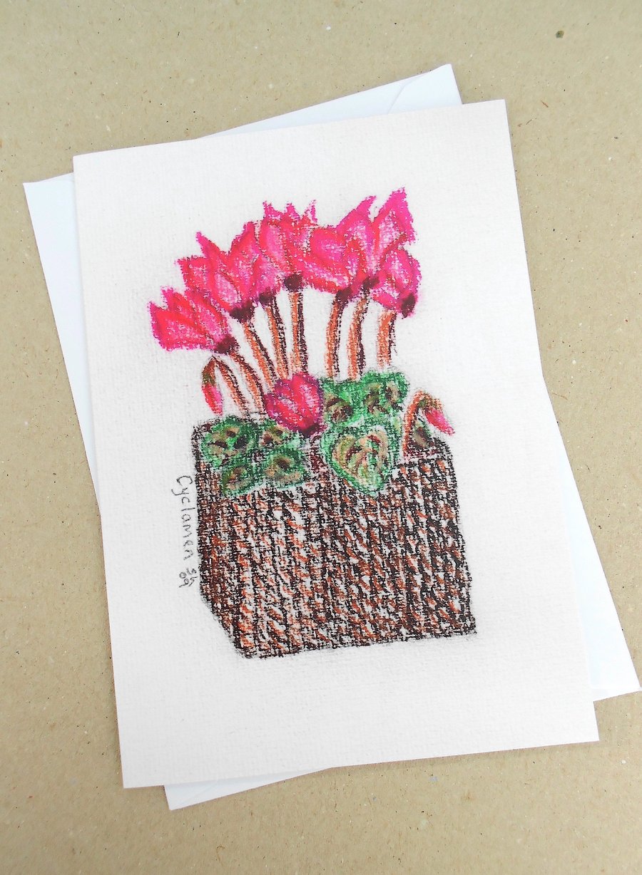 Cyclamen Pastel Card for Winter