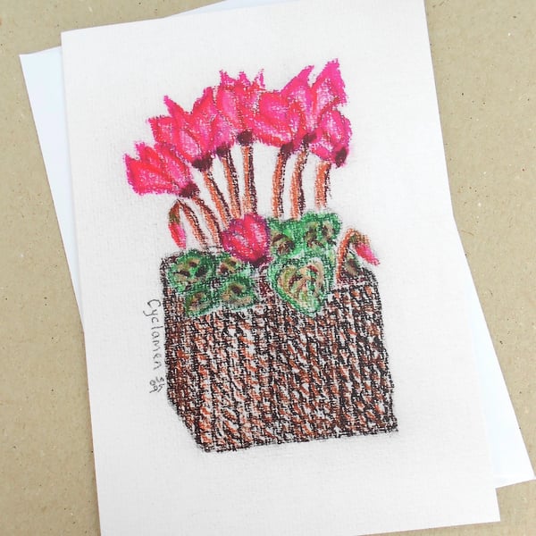 Cyclamen Pastel Card for Winter