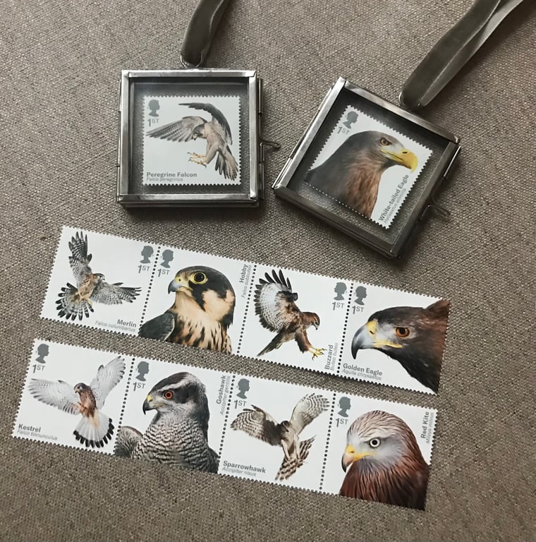 Peregrine Falcon Mini glass frame with beautiful art Stamp 