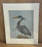 Perfectly Imperfect Great Blue Heron Pencil Drawing 9x12 - Image 2