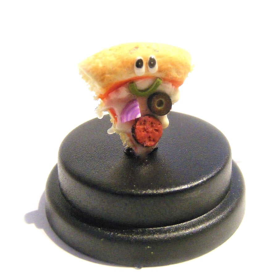 Pet Pizza, Pet pizza slice, Fast food lover, pepperoni pizza,