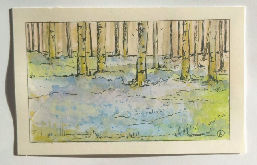 ,BLUEBELL WOOD, original watercolour and fine liner painting 