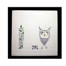 Simple owl (GEN1080)