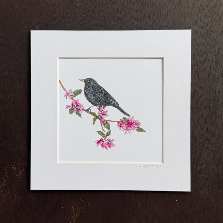'Blackbird' 8" x 8" Mounted Print