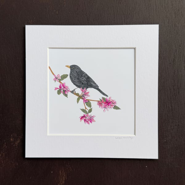 'Blackbird' 8" x 8" Mounted Print