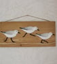 Sanderling wall hanging