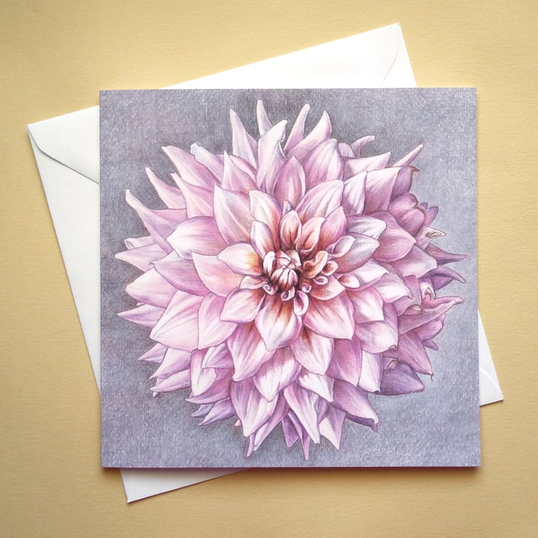 Greetings card - blank - Pink Dahlia