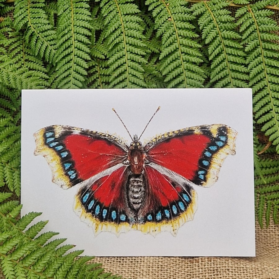 Camberwell beauty butterfly card