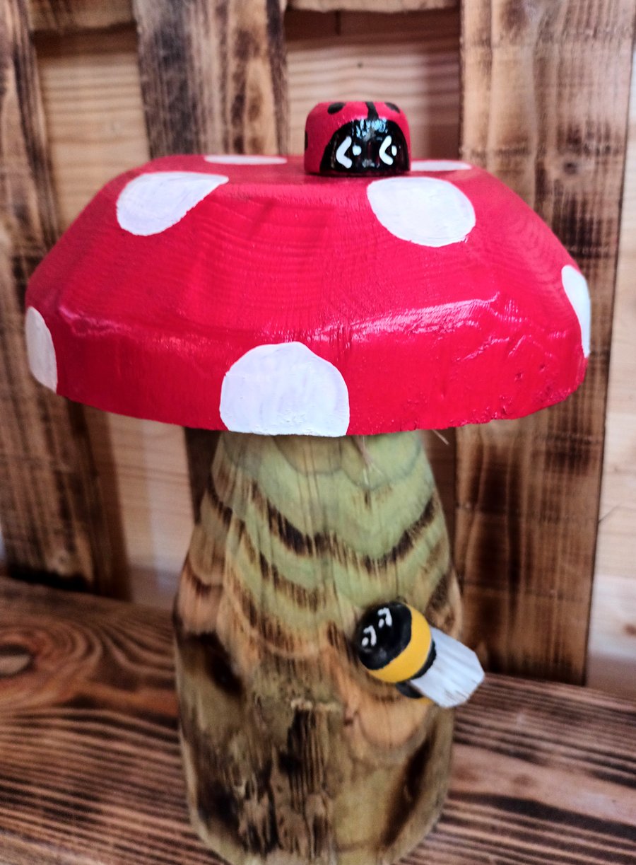Flat Top Toadstool (C)