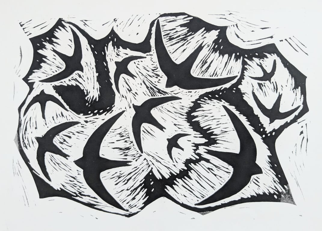 Endless Summer - Swifts in Flight