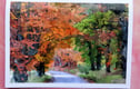 Greetings Cards