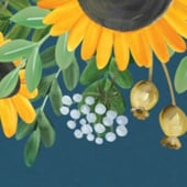 Sunflower Studios