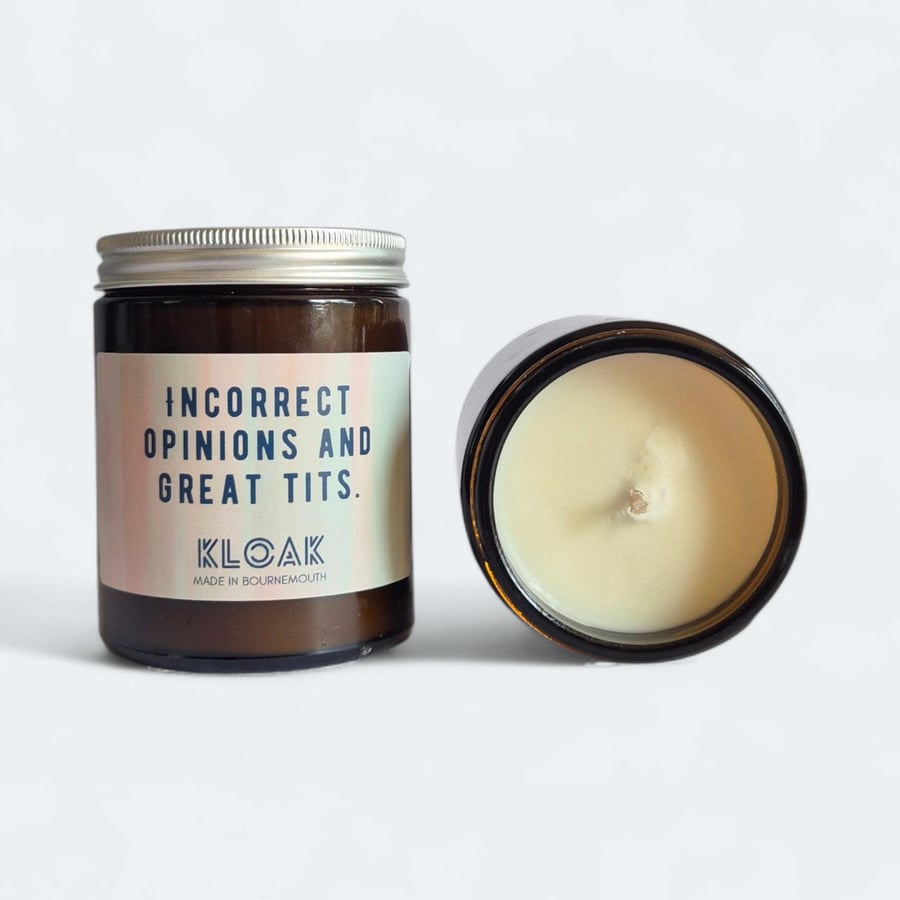 Incorrect Opinions and Great Tits Candle