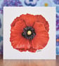 Poppy Blank Floral Card