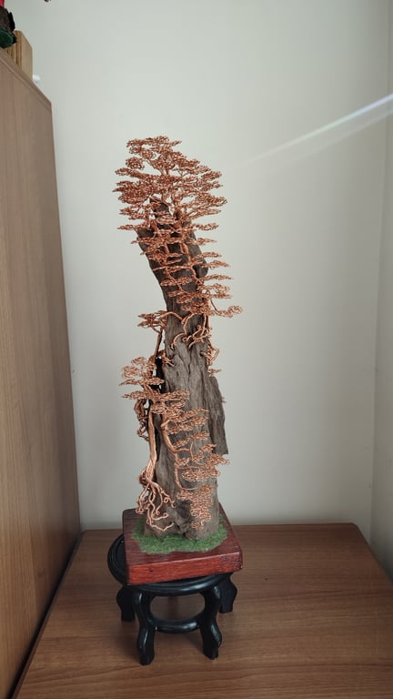 Multiple trees clasping a large piece of dragon wood 