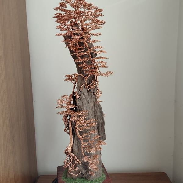 Multiple trees clasping a large piece of dragon wood 