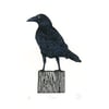 Crow two-colour linocut print
