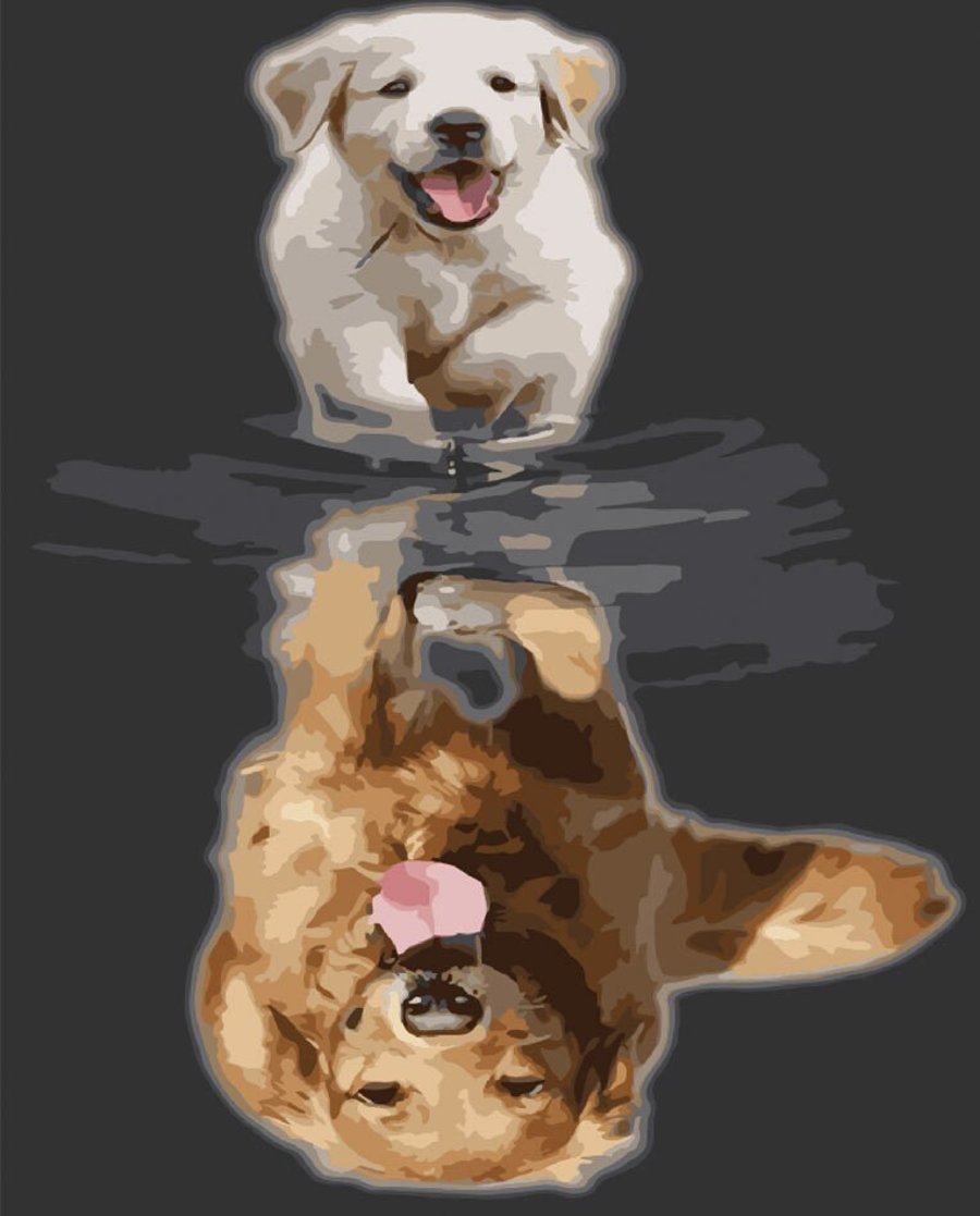 Syntego DIY Paint by Numbers for Adults, Golden Retriever Puppy Reflection Canva