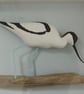 Framed carved avocet - Image 3