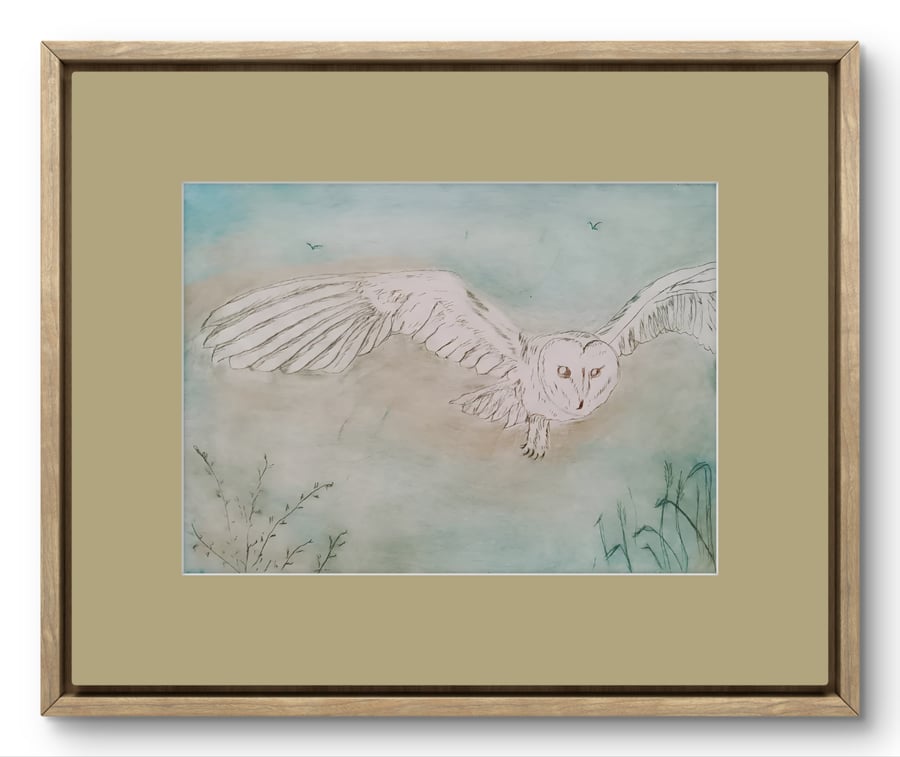 Barn owl colour drypoint 