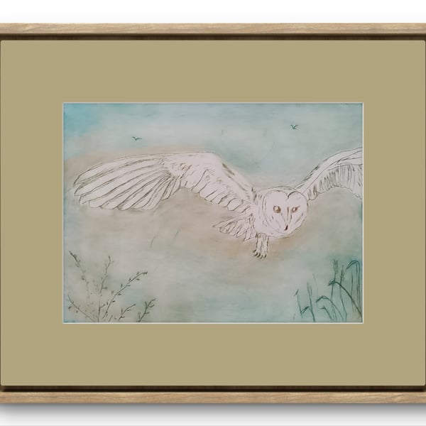Barn owl colour drypoint 