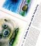 Original hand painted watercolour A3 Poster of a sussex southdowns Hedgehog - Image 7
