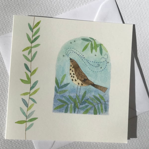 Songthrush at Dawn Card