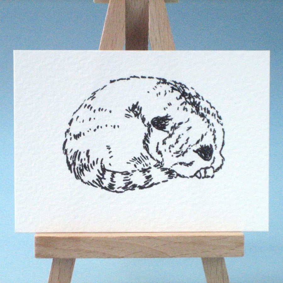 Sleeping Cat Original Drawing