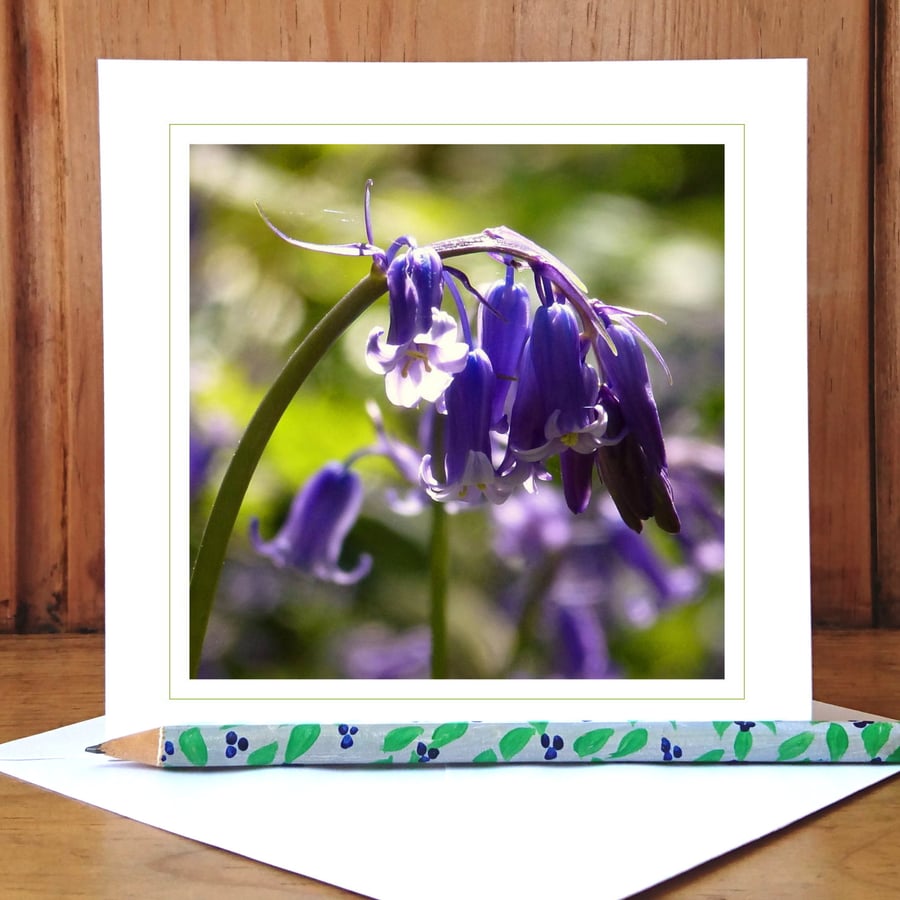 'Into the Woods...' woodland greeting card (woodland bluebell)