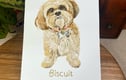 Personalised Gifts