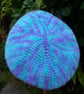 Hand-made beret made with ethical wool from rescued sheep  - Image 3