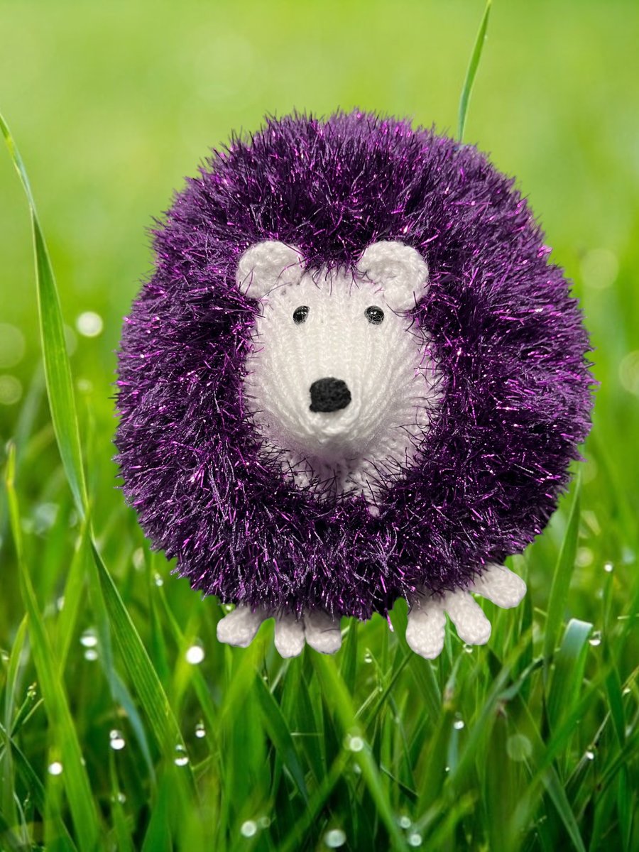 Hand knitted hedgehogs