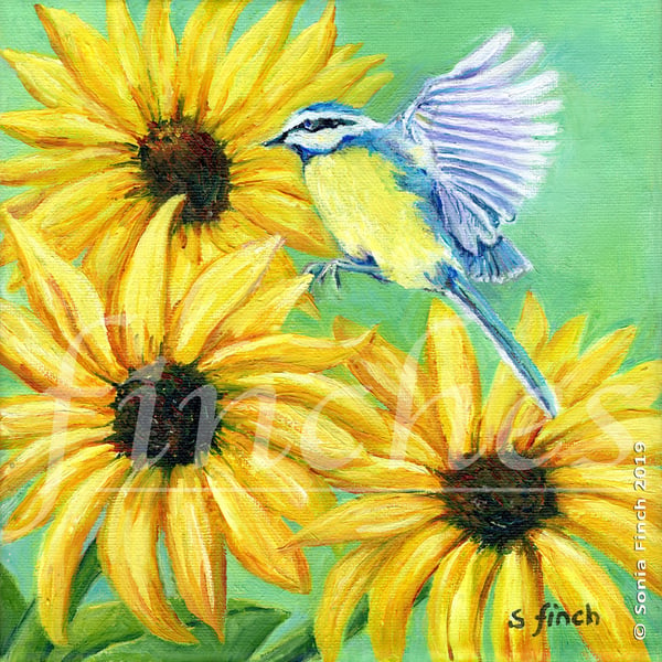 Spirit of Blue Tit - Limited Edition Giclée Print