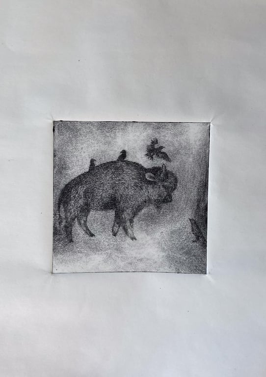 Bison And Starling, Drypoint Intaglio Art Print