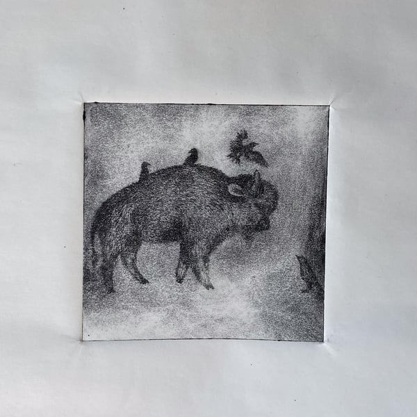 Bison And Starling, Drypoint Intaglio Art Print