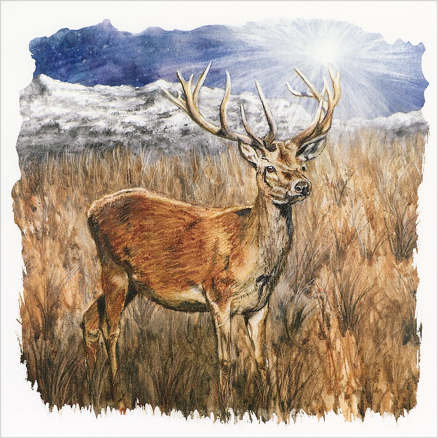 Square Greetings Card "The Stag and the Star"