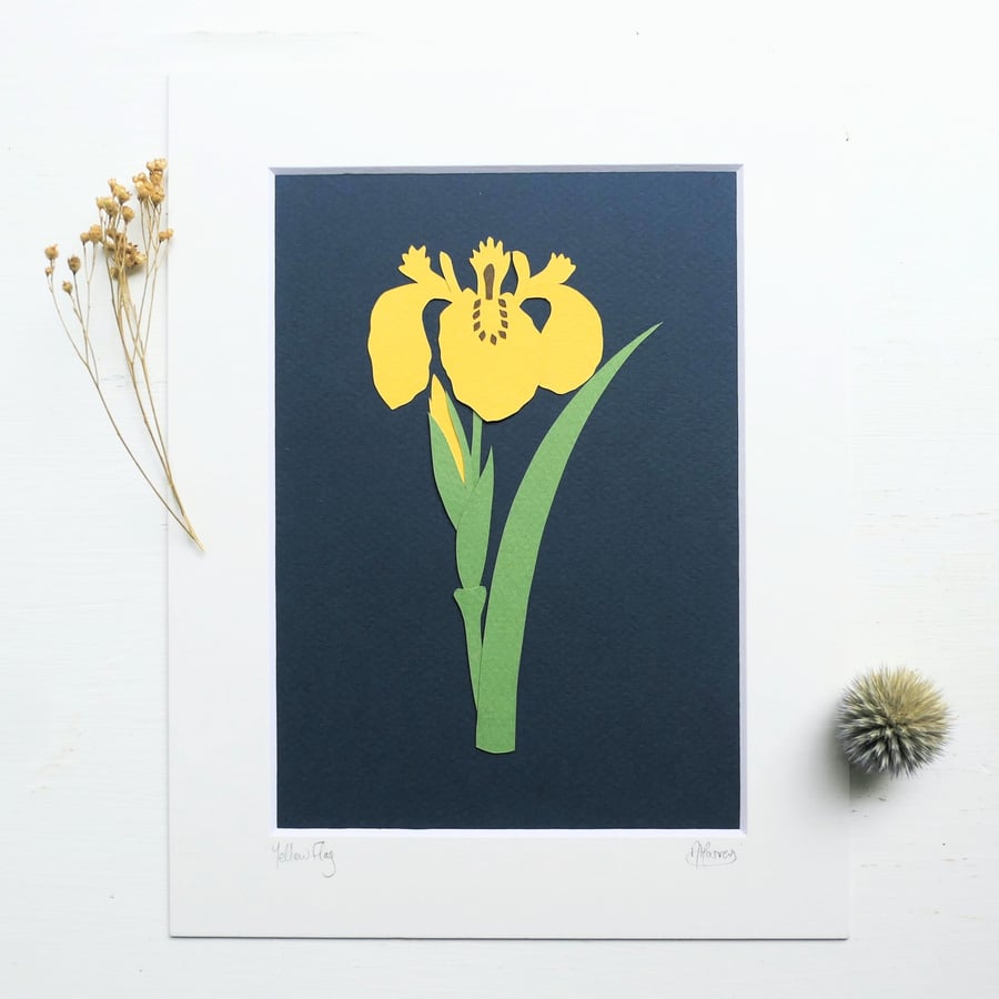 Botanical Papercut - Yellow Flag Iris - Original Art