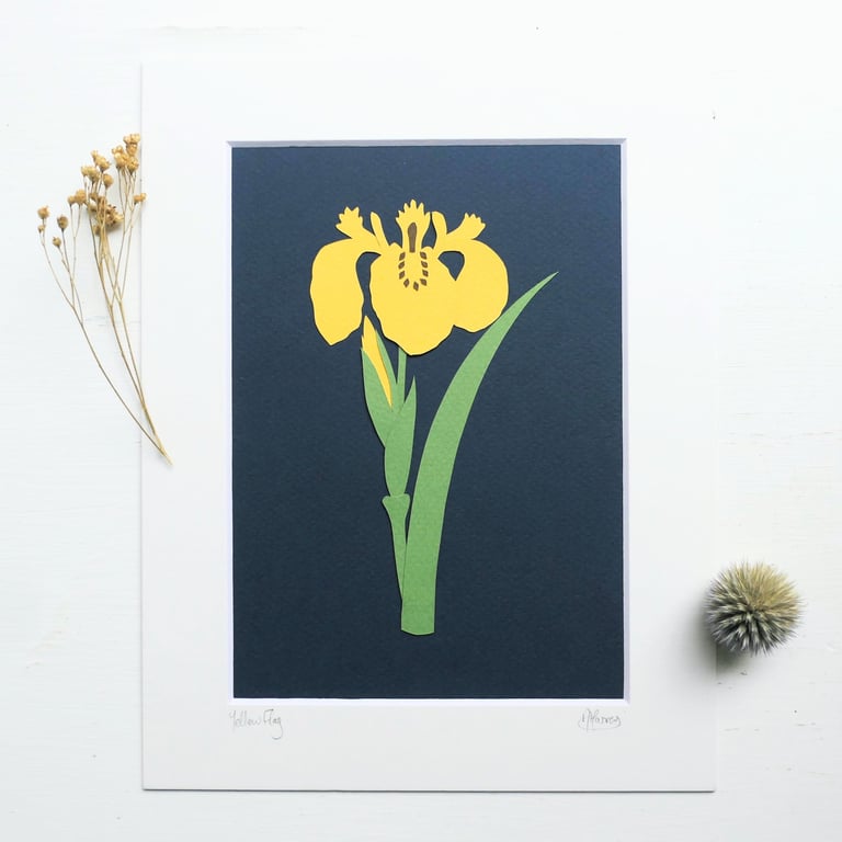Botanical Papercut - Yellow Flag Iris - Original Art