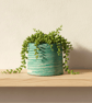 7.5cm Small Green and White Marbled Plant Pot for Houseplants