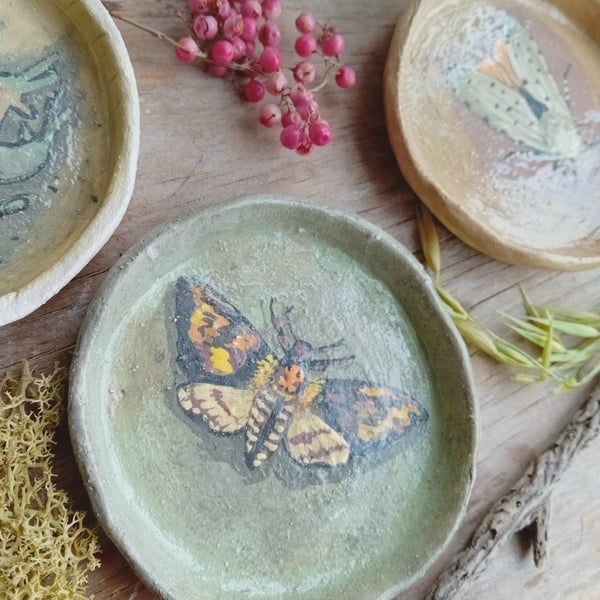 Ceramic trinket dish handpainted rustic earthenware pottery- deaths head moth