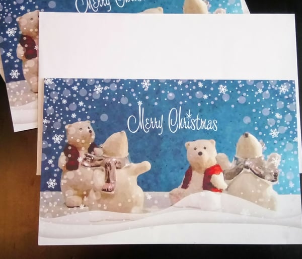 Polar Bears in the Snow - Pack of five cards - Reduced Price