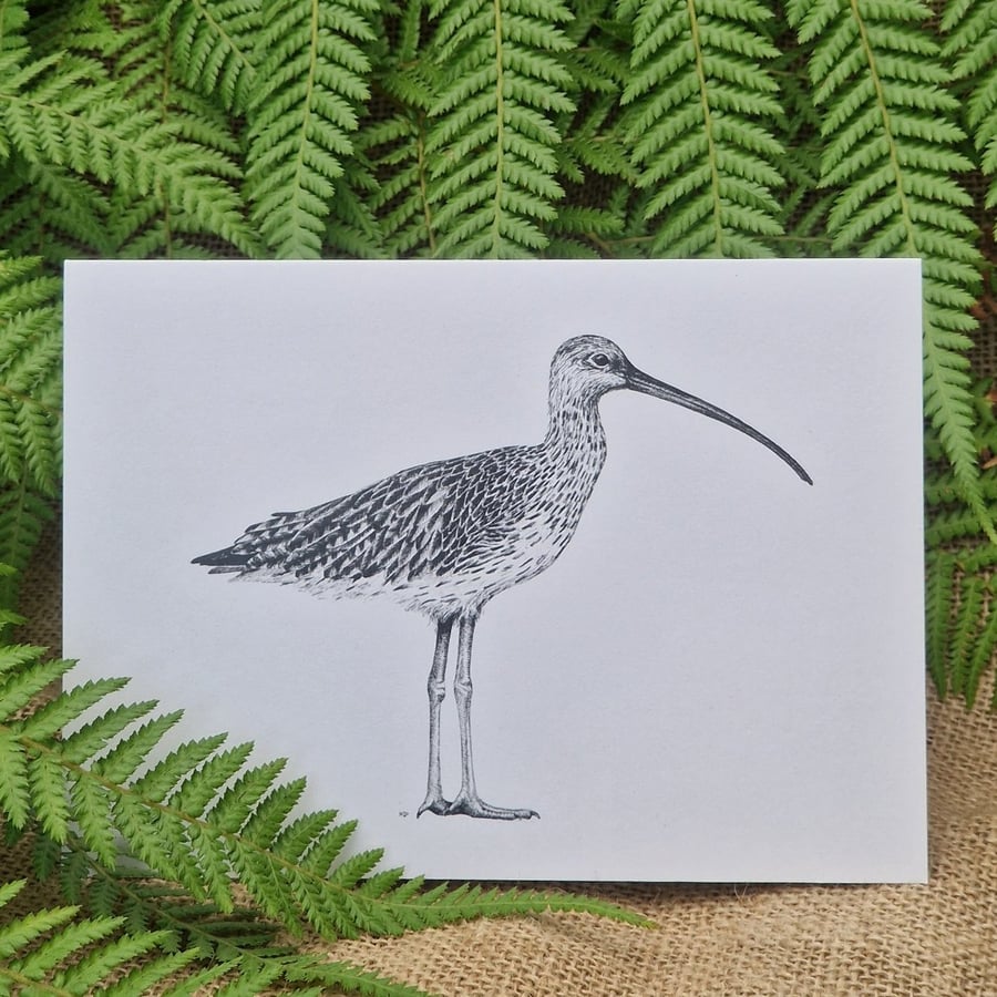 Curlew card