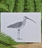 Curlew card - Image 1