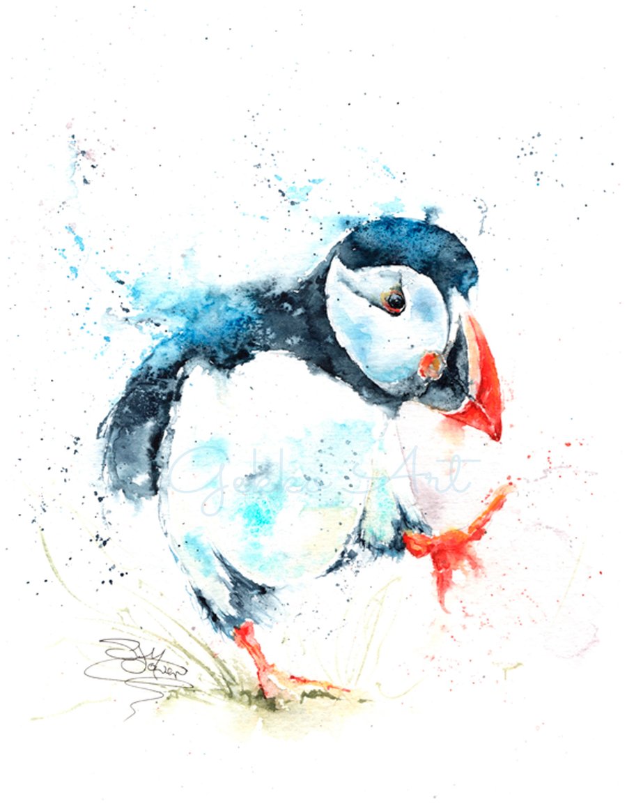 Puffin Billy A Ltd Edition Fine Art Print from an Original Watercolour Painting
