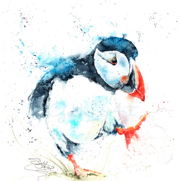 Puffin Billy A Ltd Edition Fine Art Print from an Original Watercolour Painting